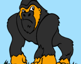Desenho Gorila pintado por jonathan