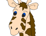 Desenho Cara de girafa pintado por cavalo