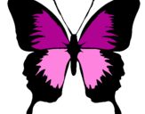 Desenho Borboleta com asas negras pintado por isabelli