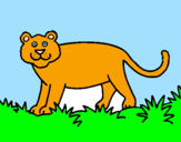 Desenho Panthera  pintado por laura b reis