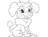 Desenho Poodle pintado por gabi