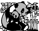 Desenho Mamã panda pintado por WINX