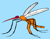Desenho Mosquito pintado por meliss