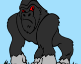 Desenho Gorila pintado por alex