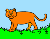 Desenho Panthera  pintado por MARTINHA