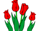 Desenho Tulipa pintado por flor