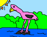 Desenho Flamingo pintado por andre 7 anos