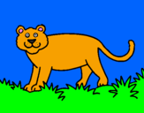 Desenho Panthera  pintado por andre 7 anos