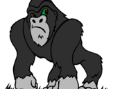 Desenho Gorila pintado por ADELIO
