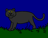 Desenho Panthera  pintado por gmd
