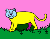 Desenho Panthera  pintado por dudu