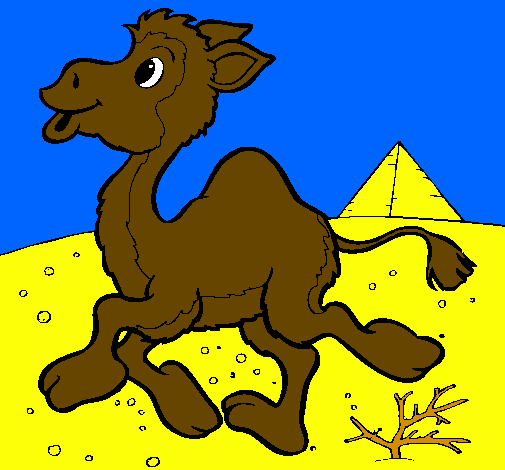 Desenho Camelo pintado por denise