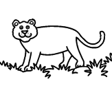 Desenho Panthera  pintado por douglas