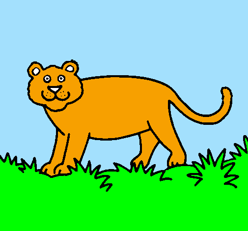 Desenho Panthera  pintado por kaio