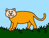 Desenho Panthera  pintado por yasmin