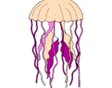 Desenho Medusa pintado por Luana