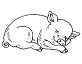 Desenho Porco a dormir pintado por Tex