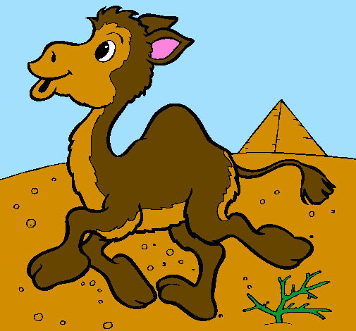 Desenho Camelo pintado por no deserto