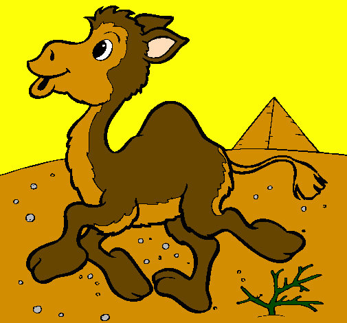 Desenho Camelo pintado por yago