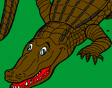 Desenho Crocodilo  pintado por sinupi