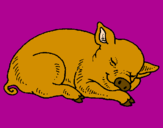Desenho Porco a dormir pintado por bets
