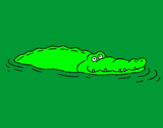 Desenho Crocodilo 2 pintado por caique