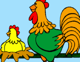 Desenho Galo e galinha pintado por maria      eduarda