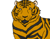 Desenho Tigre pintado por luan santana e gay