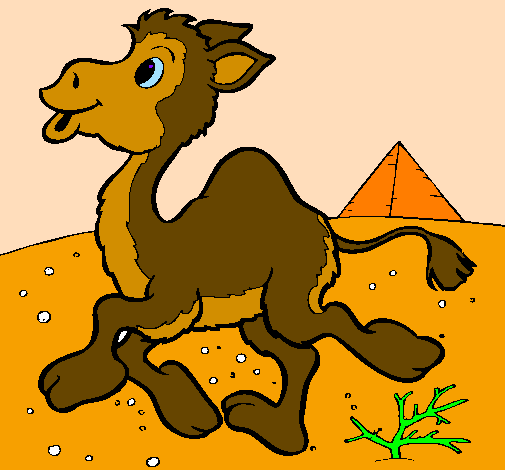 Desenho Camelo pintado por nadim45