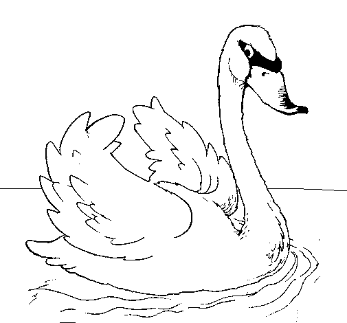 Desenho Cisne na água pintado por MILENA