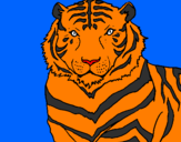 Desenho Tigre pintado por marcos 