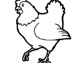 Desenho Galinha pintado por galinhas 