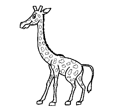 Desenho Girafa pintado por pantera