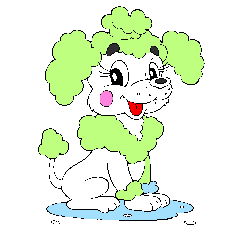 Desenho Poodle pintado por cadela