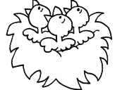 Desenho Ninho de passaritos pintado por passarinhos  
