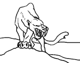 Desenho Tigre com dentes afiados pintado por Ana
