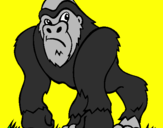Desenho Gorila pintado por mykaelly