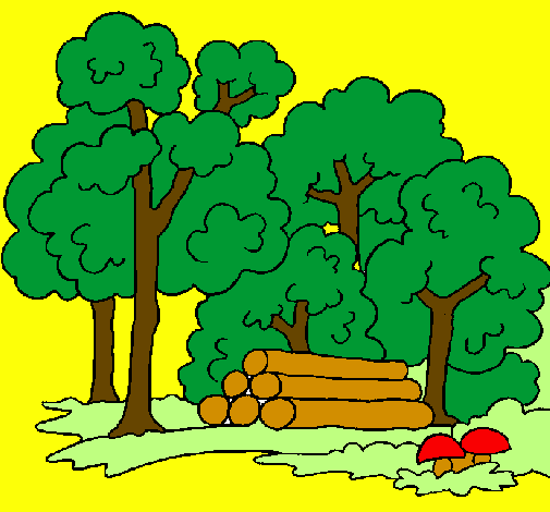 Desenho Bosque pintado por sofia matos