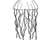 Desenho Medusa pintado por agua viva  