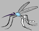 Desenho Mosquito pintado por miqueias