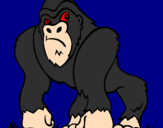 Desenho Gorila pintado por c1