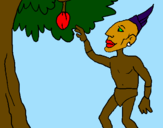 Desenho Maia numa árvore de fruto pintado por elaine