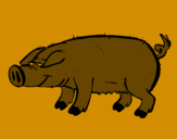 Desenho Porco com cascos negros pintado por nadim45