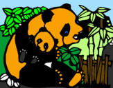 Desenho Mamã panda pintado por c1