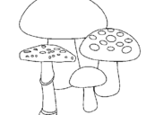 Desenho Cogumelos pintado por sandra