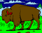 Desenho Búfalo pintado por kaori e pedro