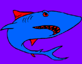Desenho Tubarão pintado por felipe
