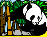 Desenho Urso panda e bambu pintado por guilherme