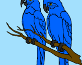 Desenho Louros pintado por blu