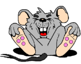 Desenho Rato a rir pintado por vito